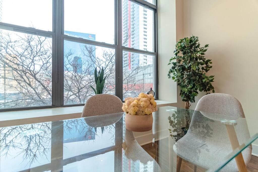 Views And Convenient 3br For Group Of 8 Guests Near Mccormick, Shedd Aquarium, Museum Campus & Navy Pier * Chicago